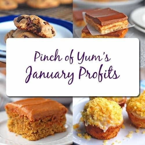 Pinch of Yum January Profits.