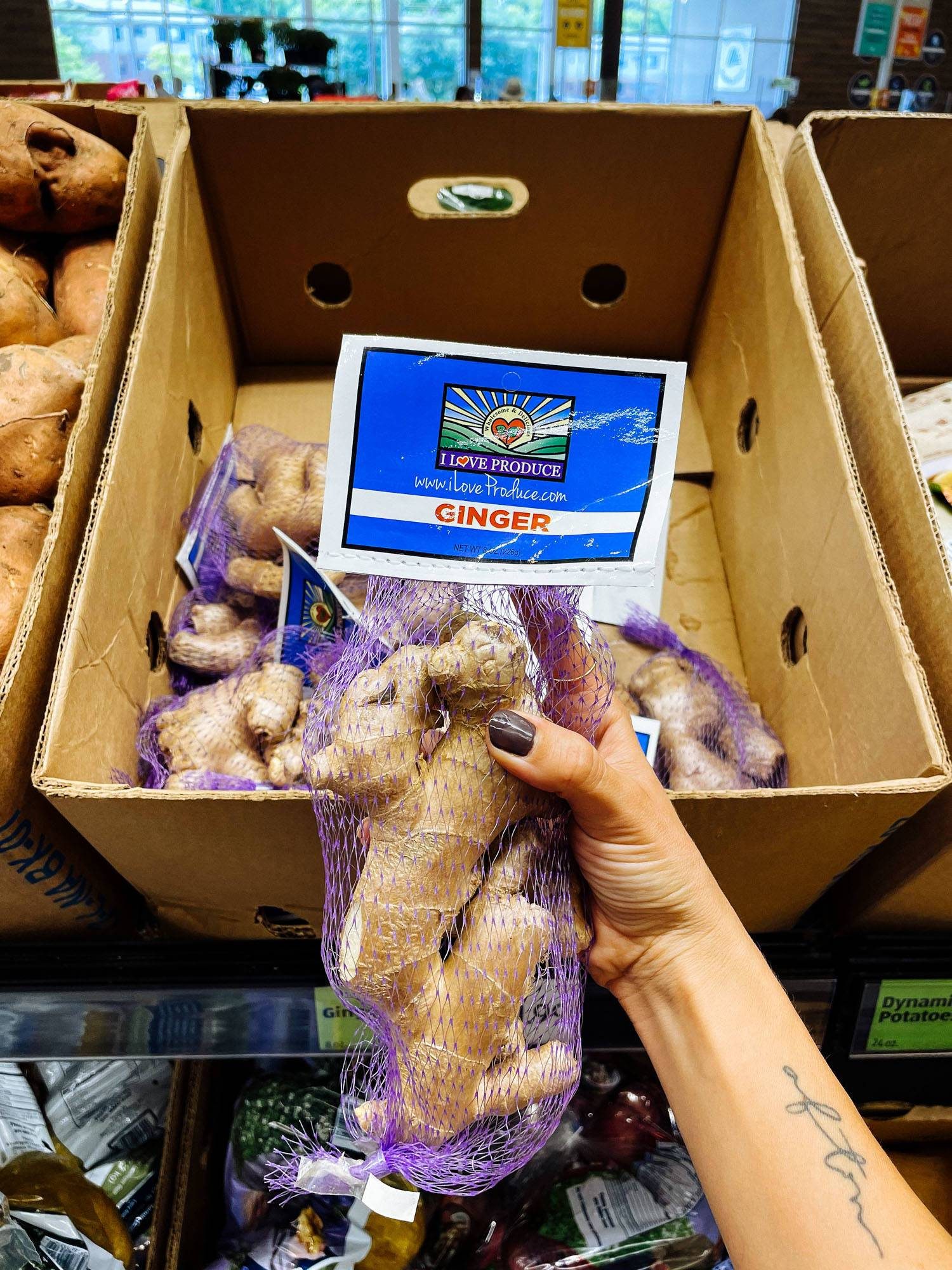 White hand holding fresh ginger from ALDI.