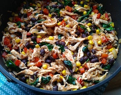 The-Dude-Diet-Skinny-Chicken-Enchiladas-Filling