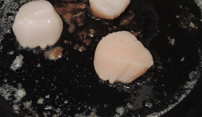 seared-scallops-step-by-step-recipe