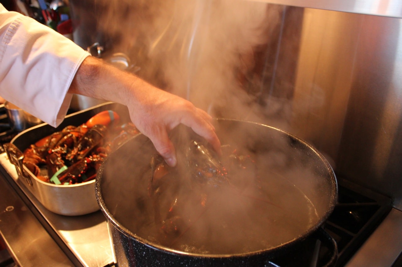 cooking-lobster-for-naked-lobster-rolls