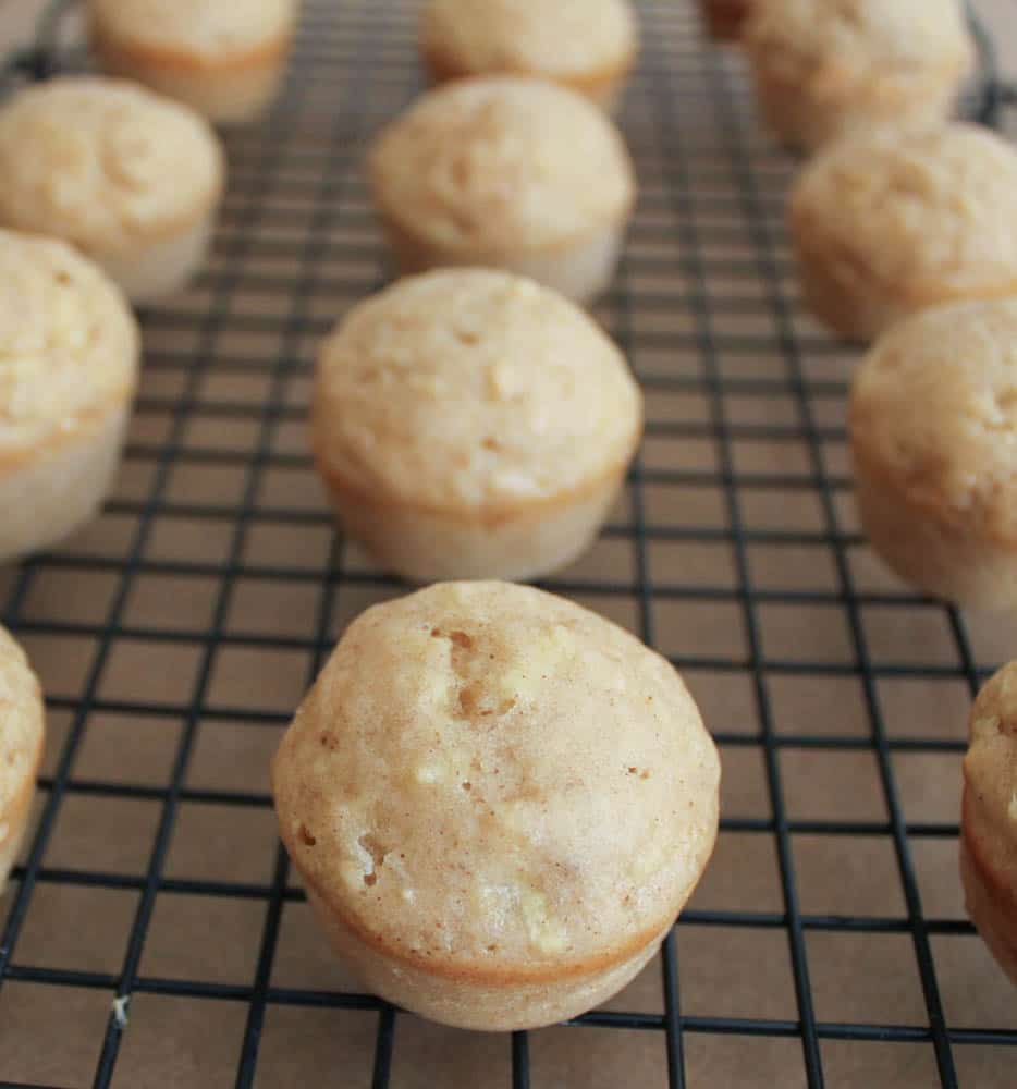apple-cinnamon-baked-doughnut-holes-step-9-2