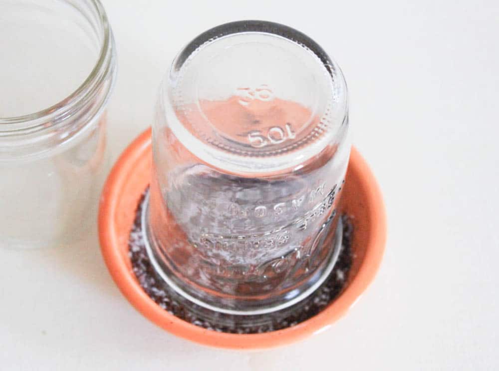 Grapefruit-Margaritas-with-Chipotle-Chile-Salt-and-Lime-step-3