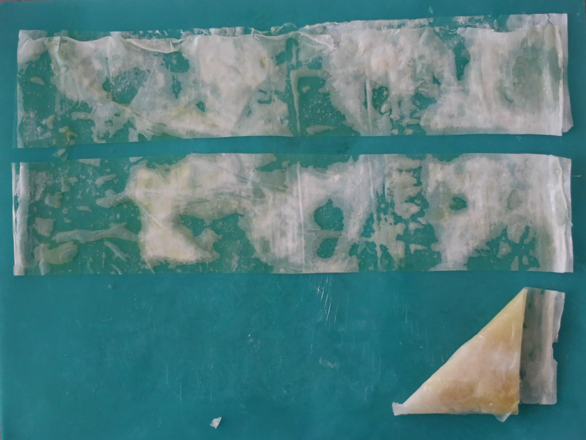 harvest squash phyllo turnovers