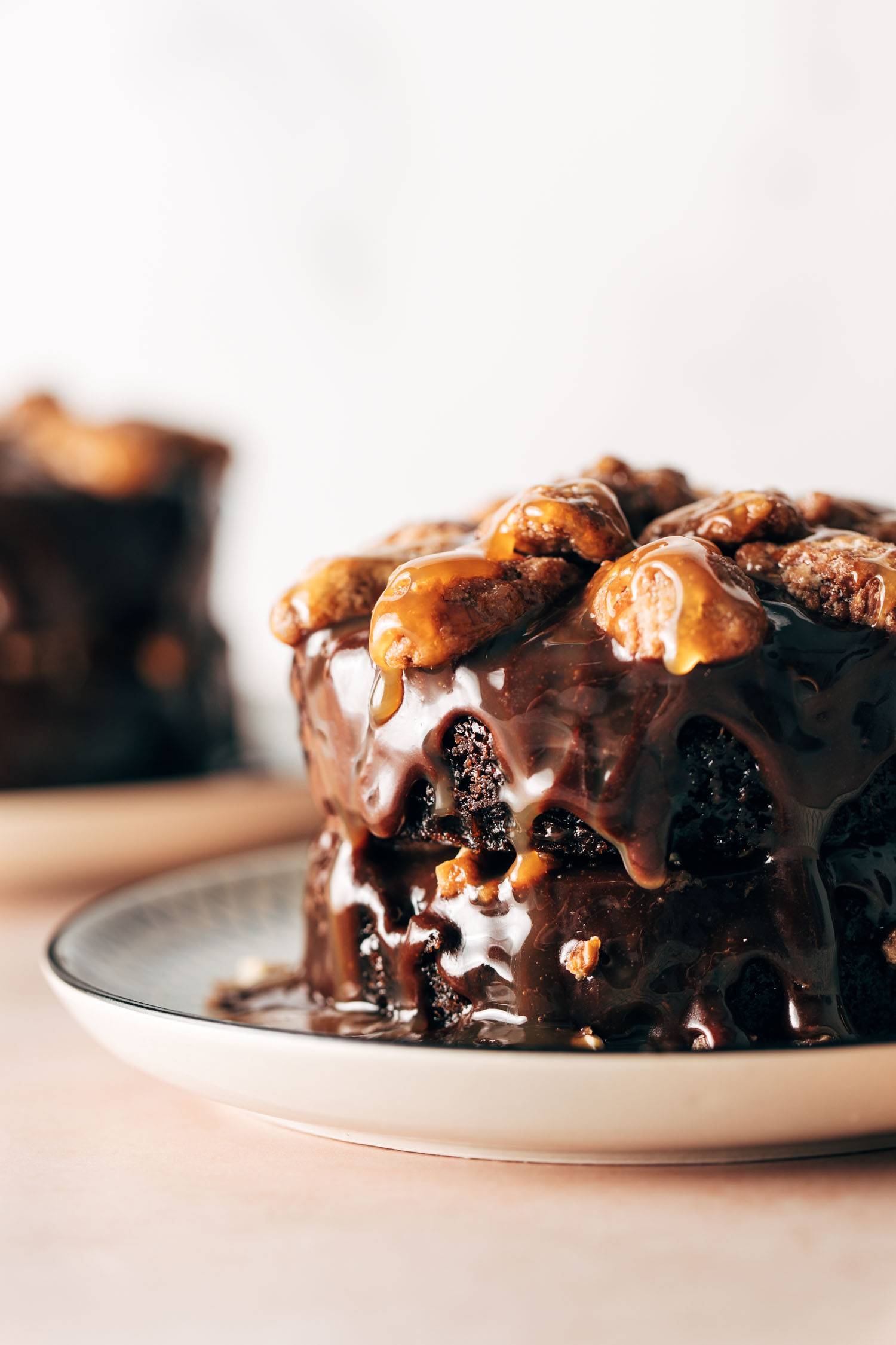 Turtle cake on a plate